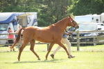 SBM_09129
