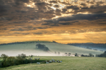 z2892 Misty Morning, Ashey Down