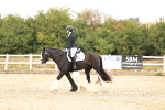 SBM_000081