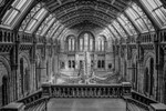 Natural History Museum London