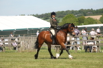 SBM_06898