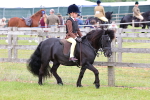 SBM_08495