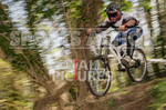 MTB_Downhill_2015_Race-2-1