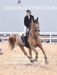 BPP_8539