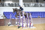 Class 12 - Senior Foxhunter 1.20m portfolio