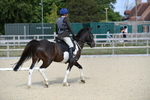 WJ5_7882