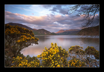 Ennerdale Sunset