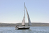 170526 SLOW GIN GBR2075L 1Y3A9559_Edit