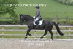 BPP_6693