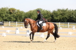 SBM_003385