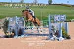 BPP_2377