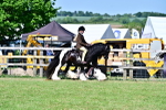 SBM_19354