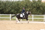 SBM_00880