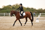 SBM_000453