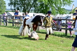 SBM_11699