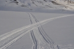 Tracks 2492