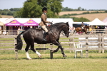 SBM_17847