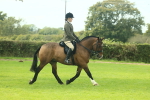 SBM_68208