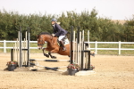 SBM_001386