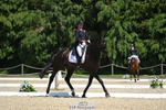 482-BROOKFIELD_CAVALIER_CRUISE-Piggy_March-DR portfolio