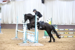 SBM_002750