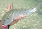 Bonefish in a Fishermans Hand.