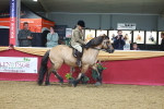 SBM_05335