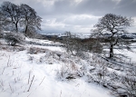Rocher Head
