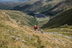 Hartsop Hop-480
