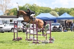 BPP_6499