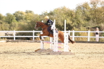 SBM_001082