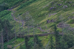 Wasdale-266