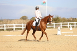 SBM_009140