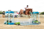 SBM_019085