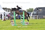 BPP_8736