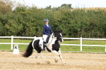 SBM_001480