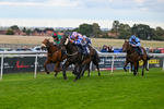160926-Race 7-Star Suepreme-1852
