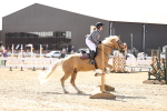 SBM_001447