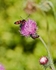 20080723-031