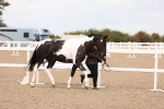 SBM_15416