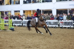 SBM_004734