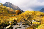 Tryfan in autumn mf