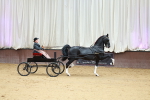 SBM_000995