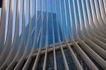 Skyscraper reflection