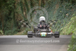 Petit Bot Hillclimb_2015_KART-2