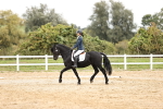 SBM_002832