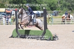 BPP_8605