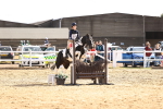 SBM_002177