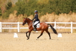 SBM_018503