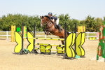 SBM_001389